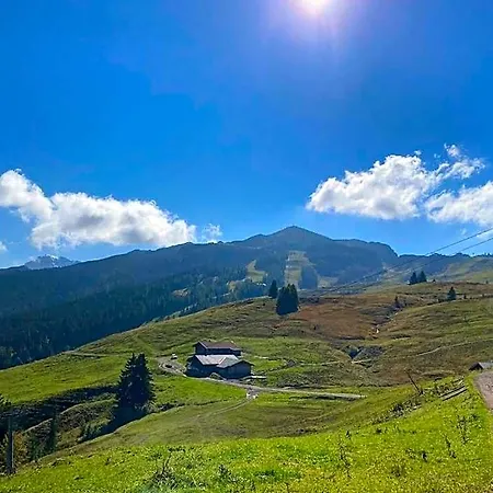 Almrausch 3*